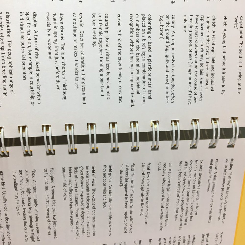 Backyard Bird Tracker : logbook notes illustrated - Picture 12 of 12